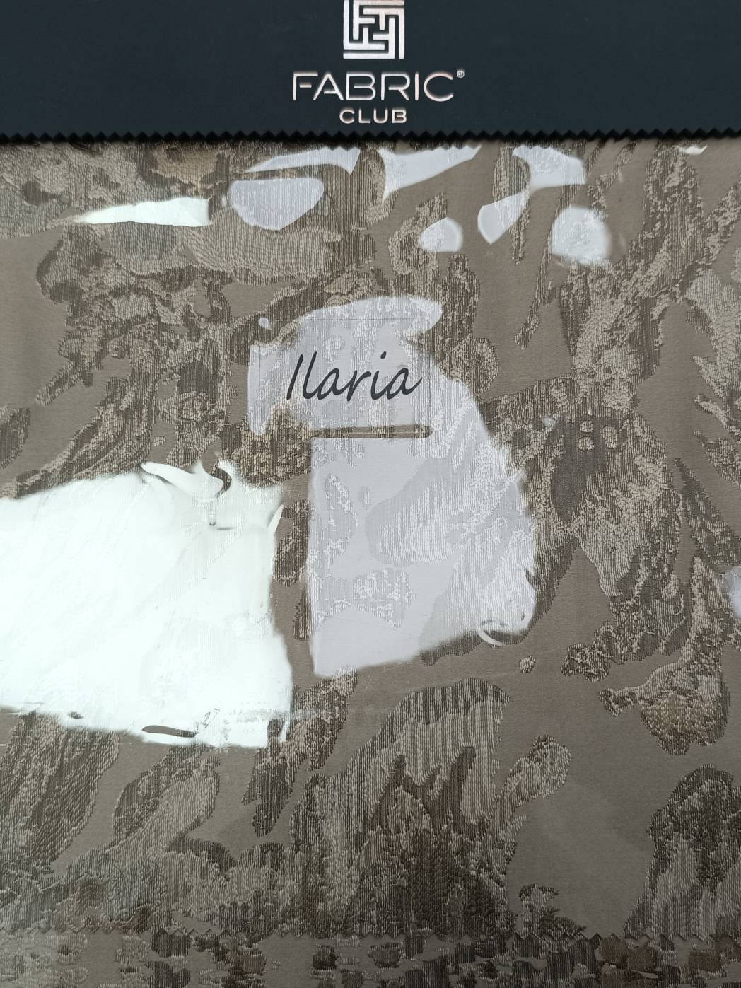 Ilaria
