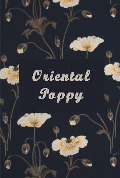 Oriental Poppy