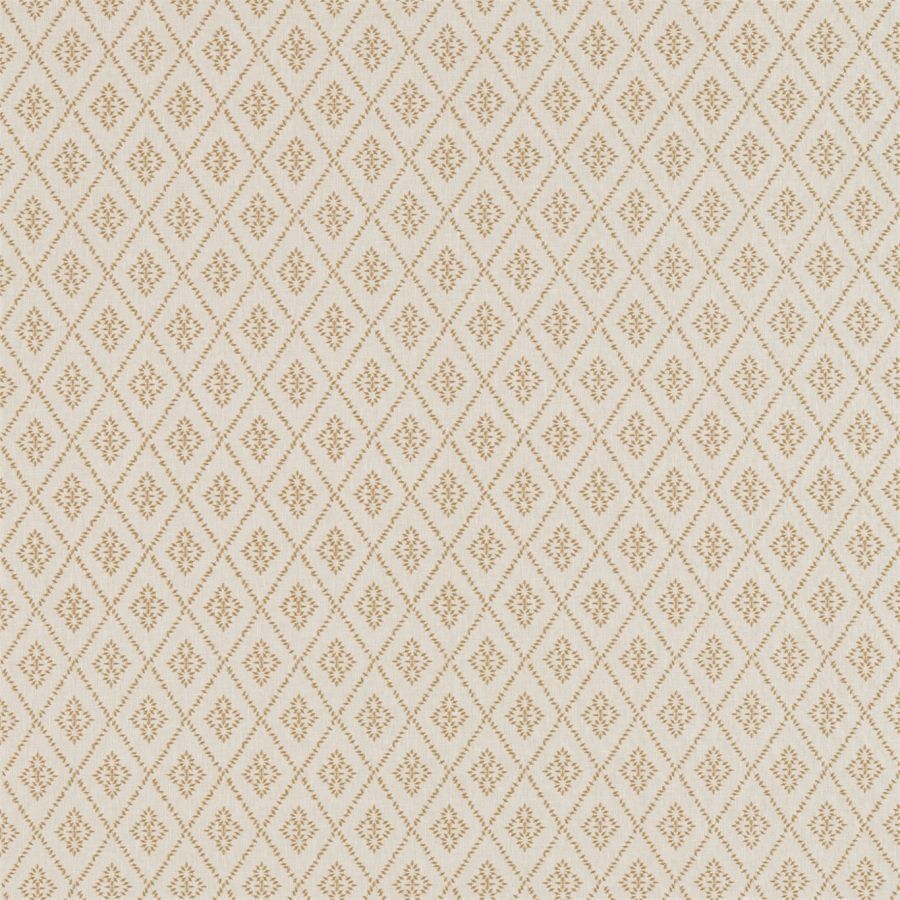 картинка Caraway 236428 