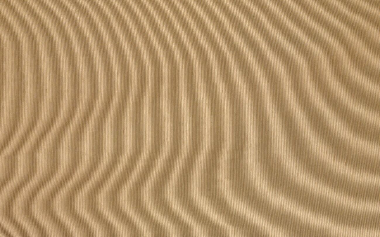 Giotto R6101-R6138 (Репс) ткань 5 авеню, Однотонная от магазина Ткани Мира ✅