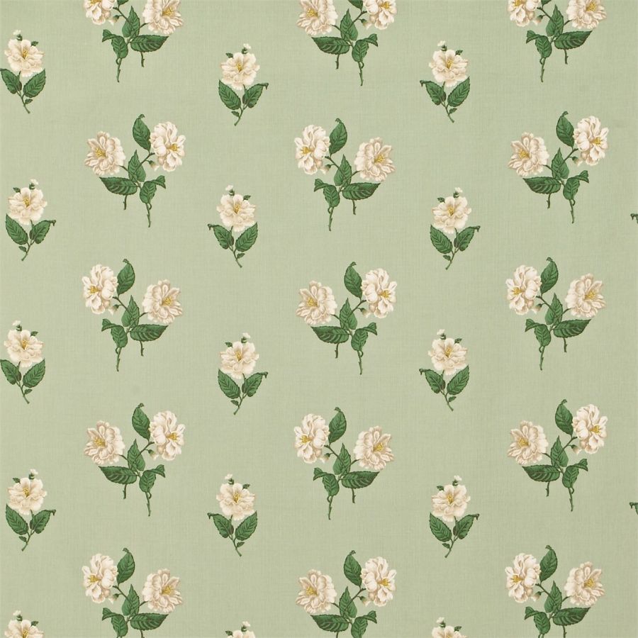 Ткань Sanderson DCAVCM204  Caverley Prints, Цветы-Растения Полоска от магазина Ткани Мира ✅