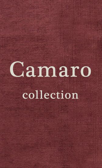 Camaro