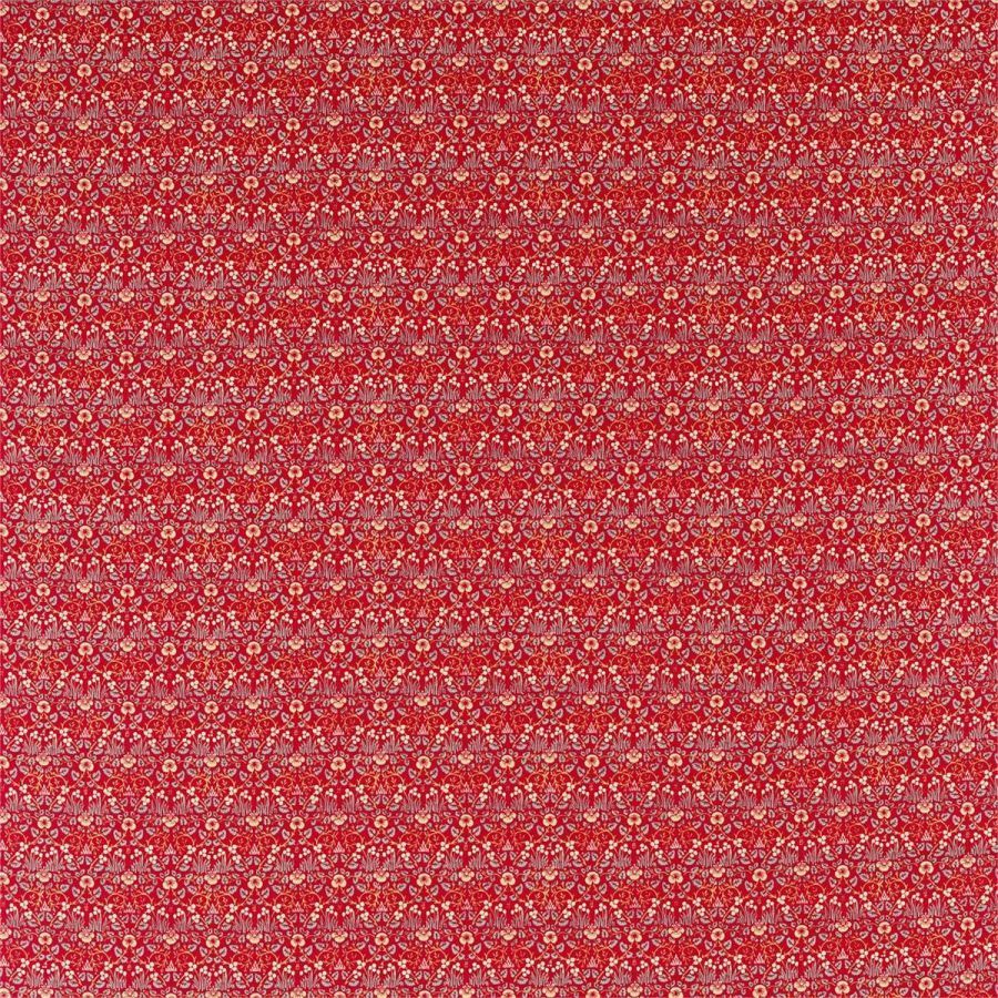 картинка Eye Bright 226599 