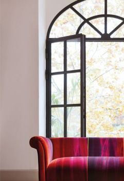 Amazilia Velvets