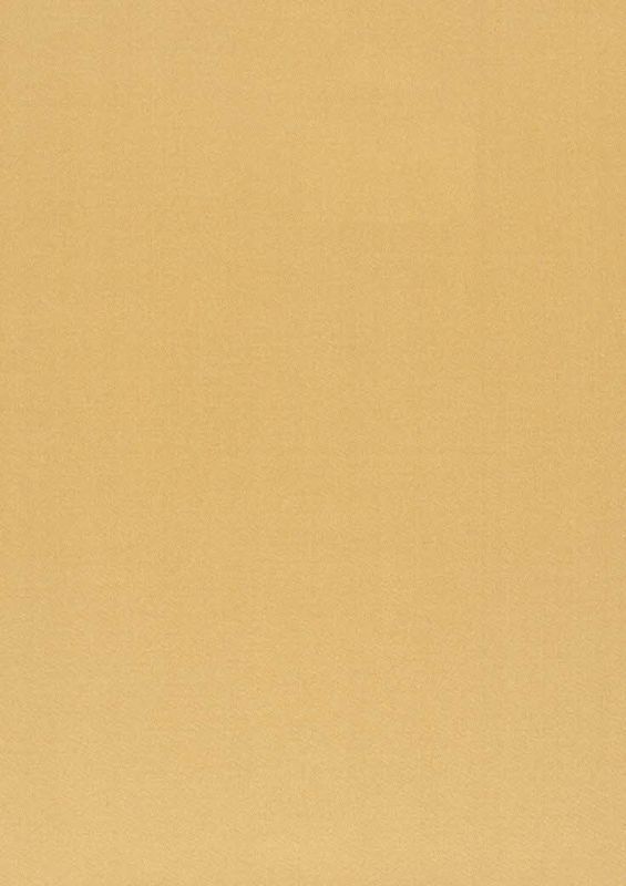 Pure Saten Vion ткань Daylight, Однотонная от магазина Ткани Мира ✅