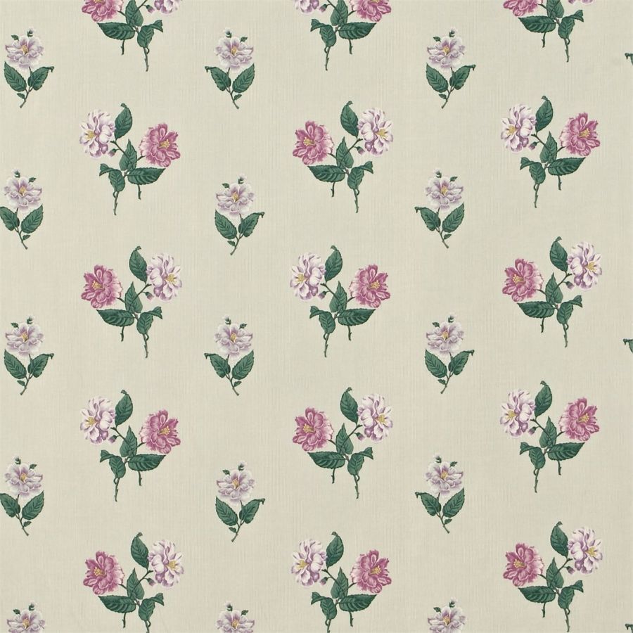 Ткань Sanderson DCAVCM203  Caverley Prints, Цветы-Растения Полоска от магазина Ткани Мира ✅