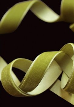 Velvet ribbon