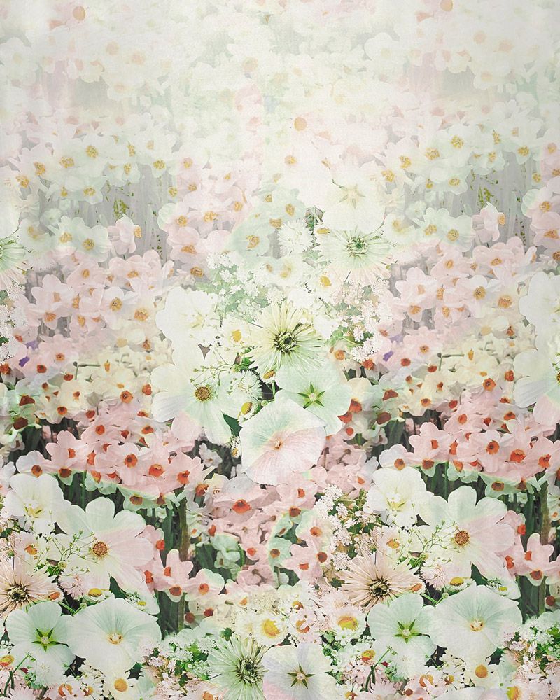 Wonderful 5779/70339 ткань Windeco, Цветы-Растения от магазина Ткани Мира ✅