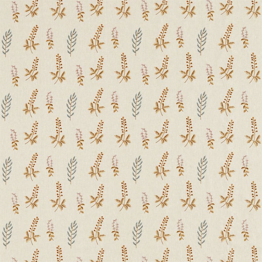 картинка Bilberry 236423 