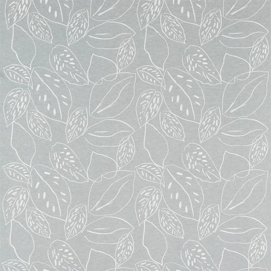 картинка Orto 132859 