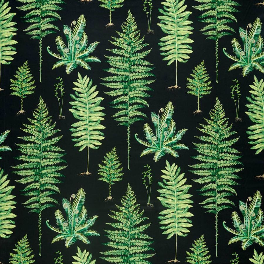 Fernery 226577, Растительный Папоротники от магазина Ткани Мира ✅