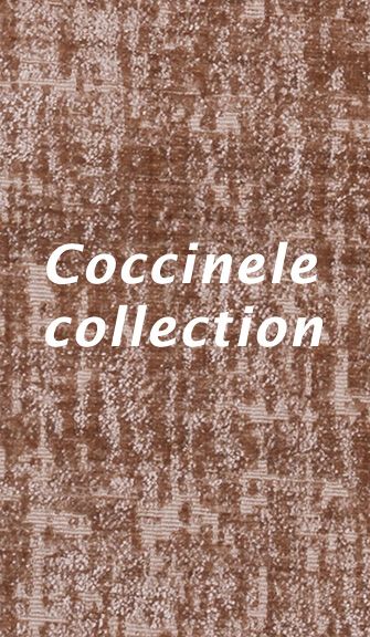 Coccinele