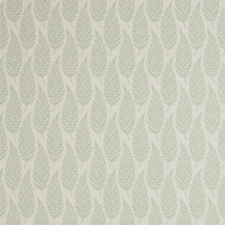 картинка Elm 236439 