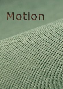 Motion