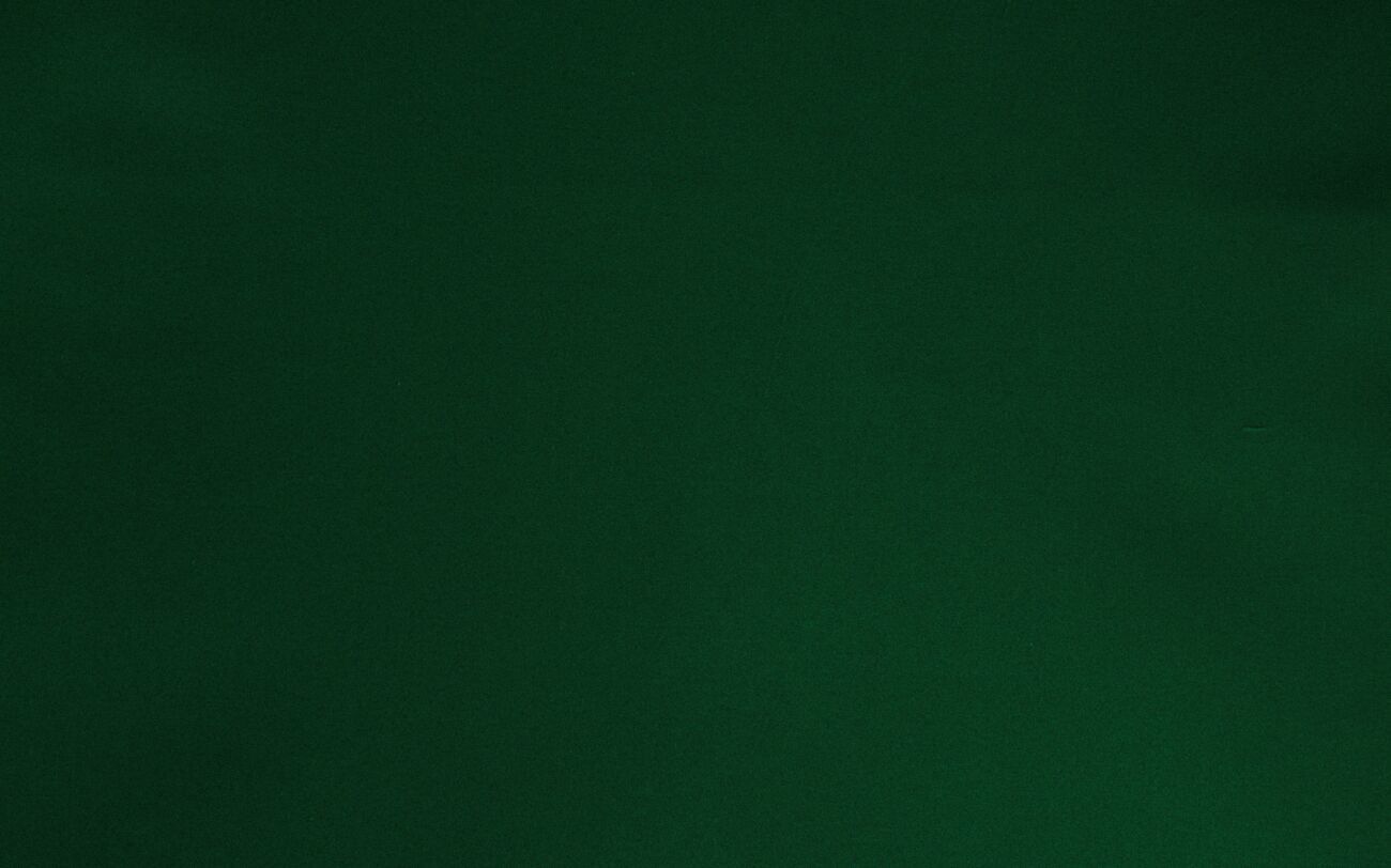 Savoy 08-16-24-32-40-48-56-64 ткань 5 авеню, Однотонная от магазина Ткани Мира ✅