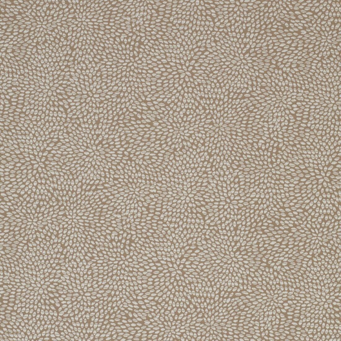 Corolla 31597 ткань James Hare, Абстракция от магазина Ткани Мира ✅