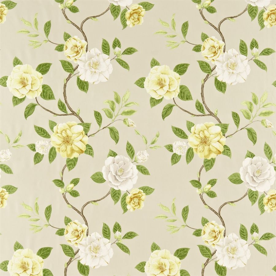 картинка Christabel 223289 