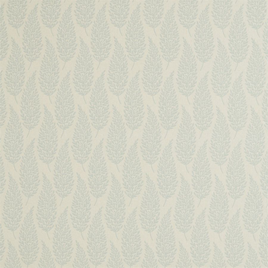 картинка Elm 236437 