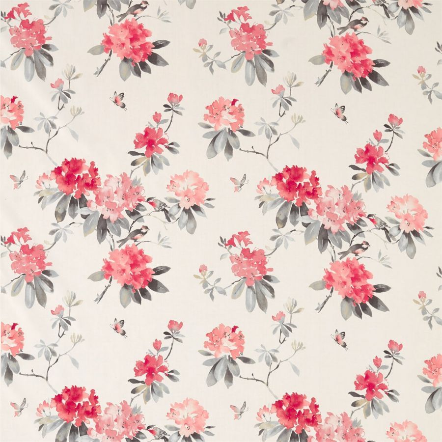 картинка Rhodera 226277 