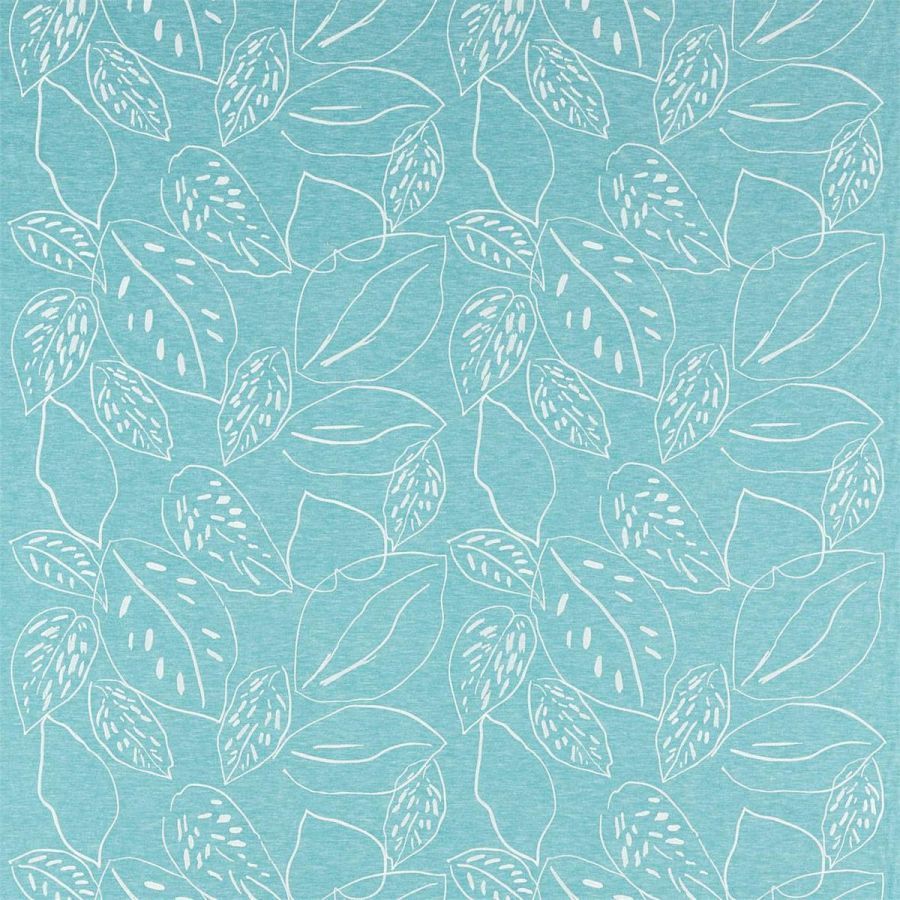 картинка Orto 132858 