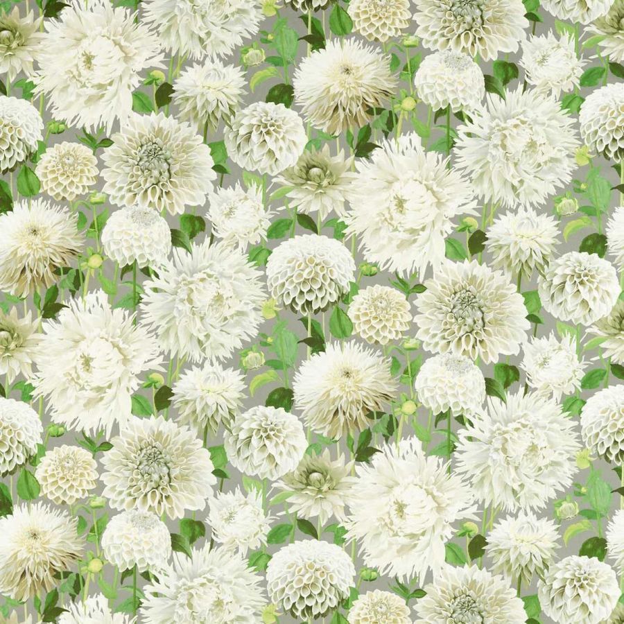 картинка Dahlia 121085 
