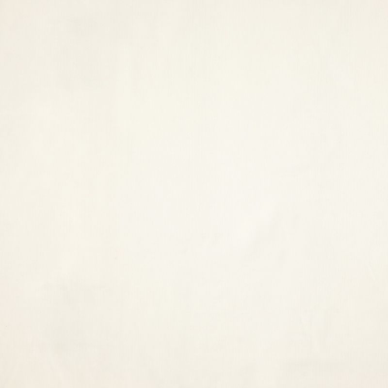 Crystal 026 ткань Daylight, Однотонная от магазина Ткани Мира ✅