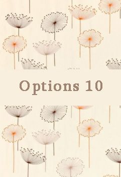 Options 10
