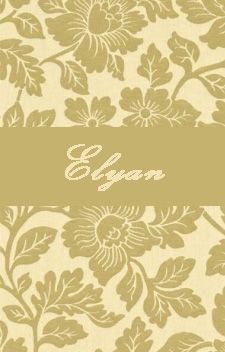 Elyan