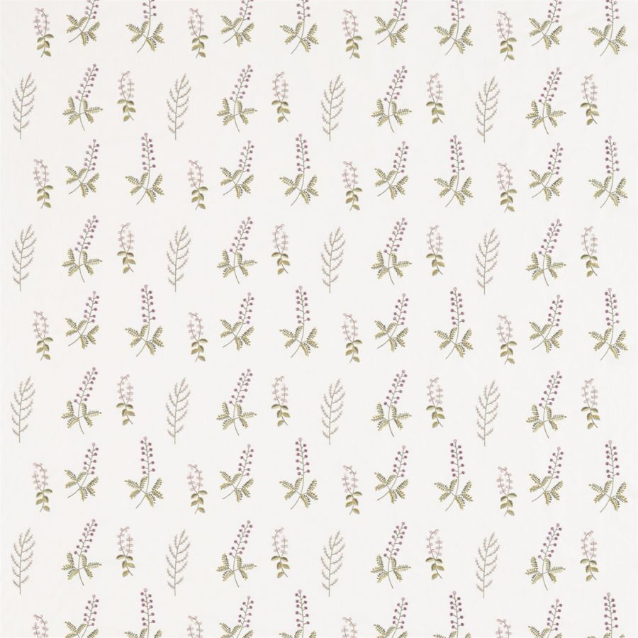 картинка Bilberry 236425 