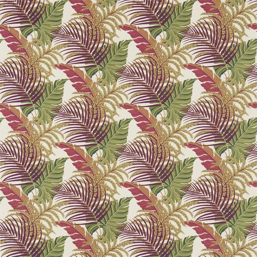 картинка Manila 223281 