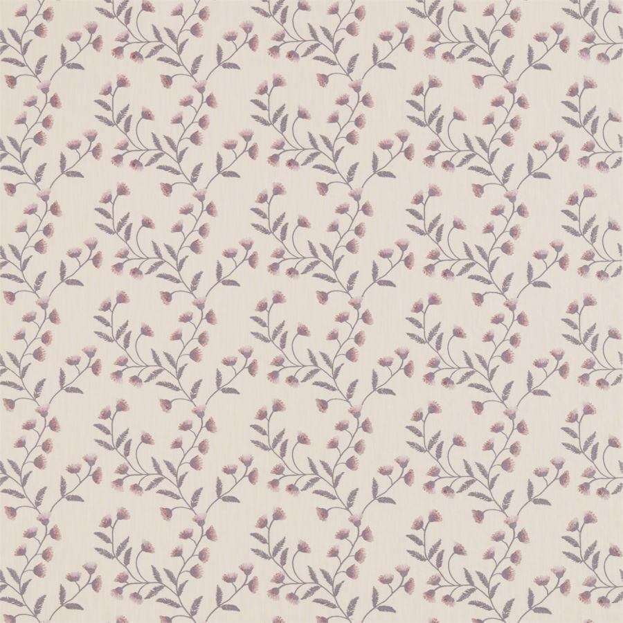 картинка Everly 236422 