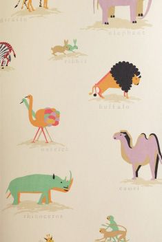 Abracazoo Wallpapers