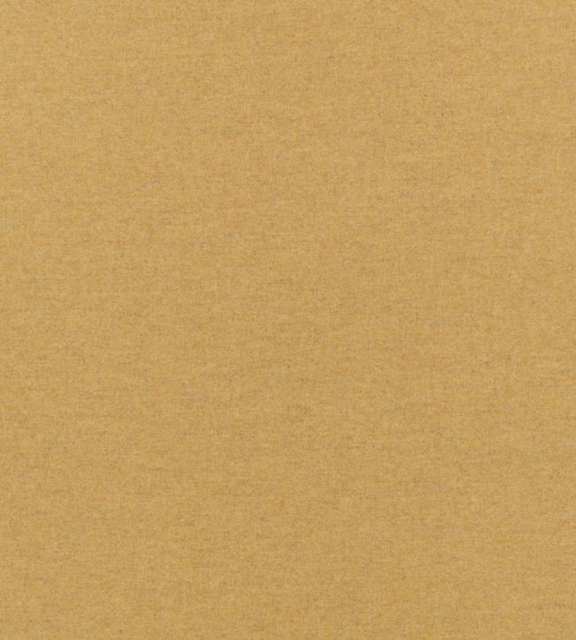 картинка Tor Reversible Z641/05 