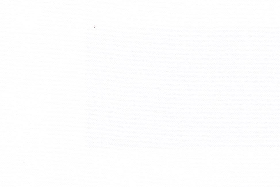 Spirit 39 Swan ткань Casablanca, Однотонная от магазина Ткани Мира ✅