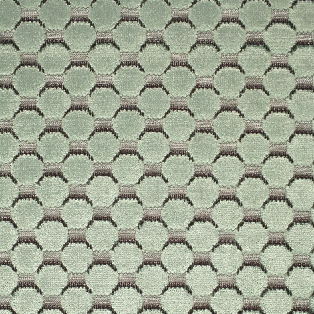 Tespi Spot 332174 ткань Zoffany, Горошек Геометрия от магазина Ткани Мира ✅