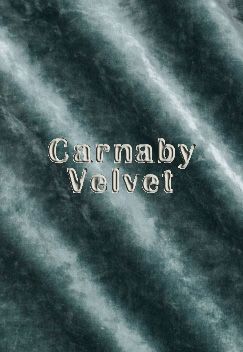 Carnaby Velvet