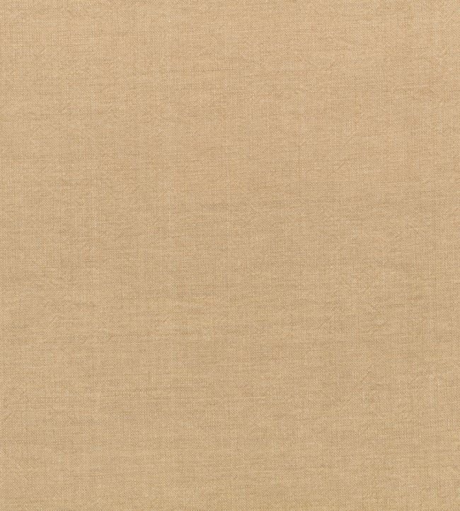 картинка Studland Z637/08 