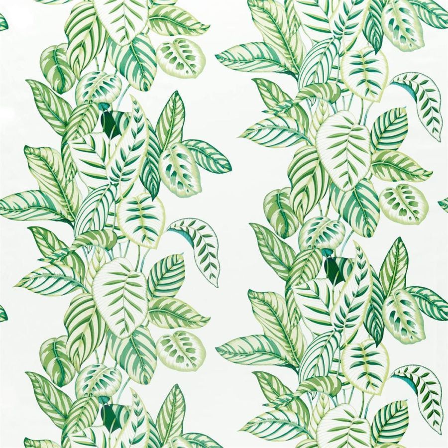 Calathea 226575, Растительный Листья от магазина Ткани Мира ✅