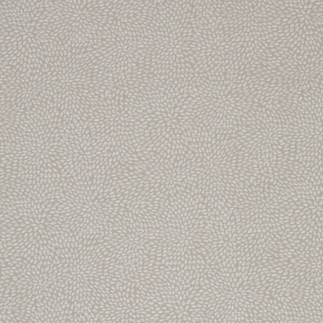 Corolla 31597 ткань James Hare, Абстракция от магазина Ткани Мира ✅