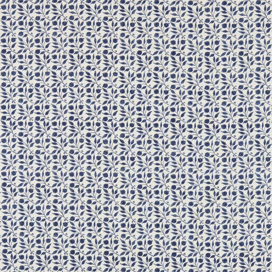 картинка Rosehip 226457(224486) 