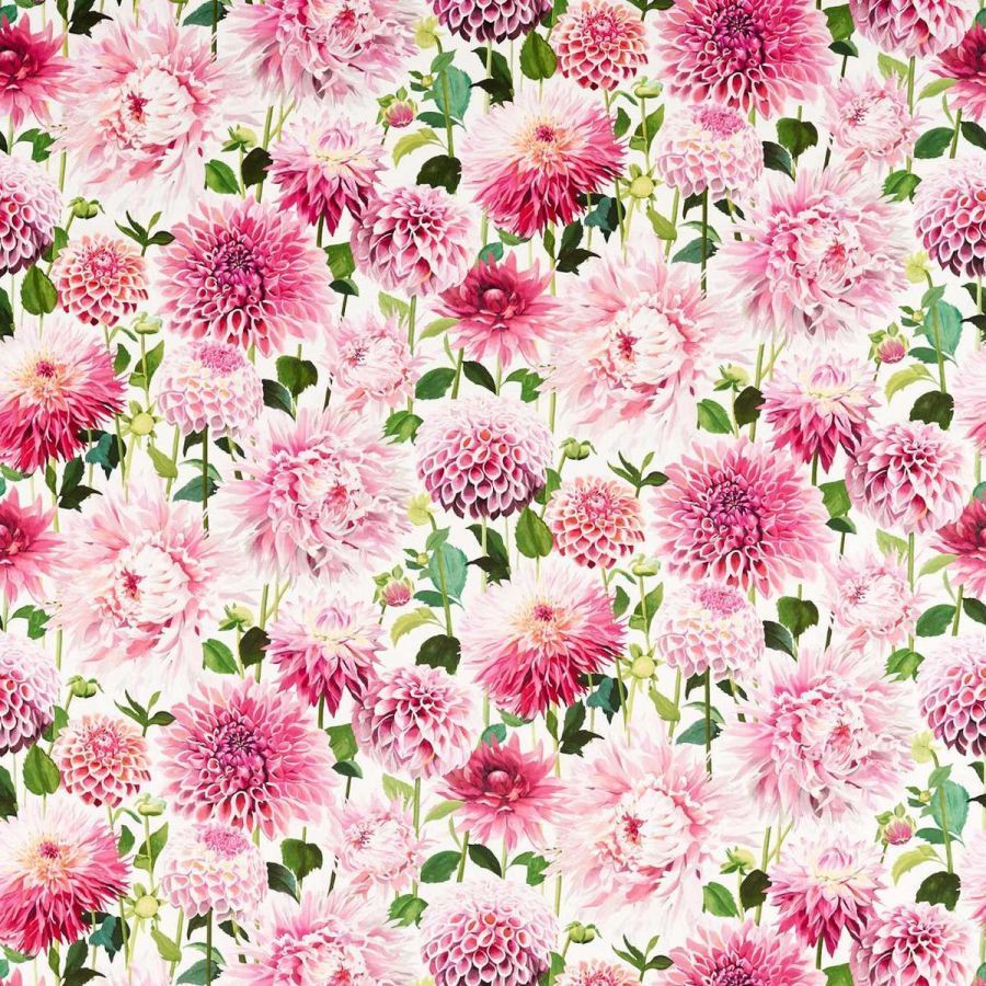 картинка Dahlia 121081 