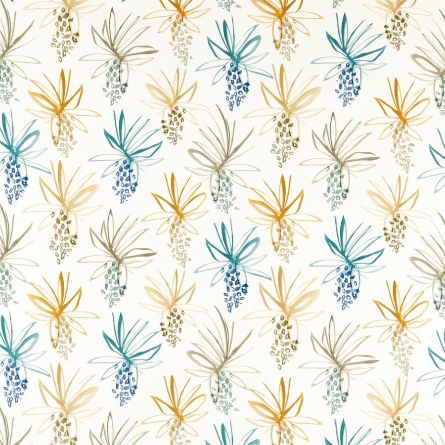 картинка Tillandsia 120774 