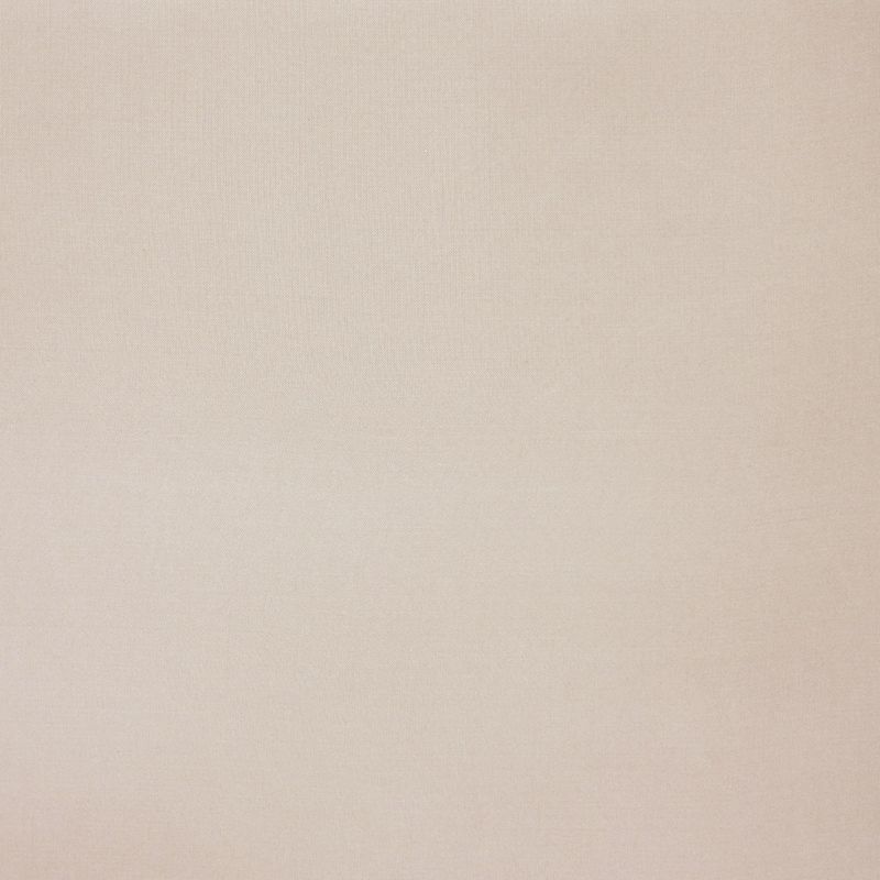 Crystal 026 ткань Daylight, Однотонная от магазина Ткани Мира ✅