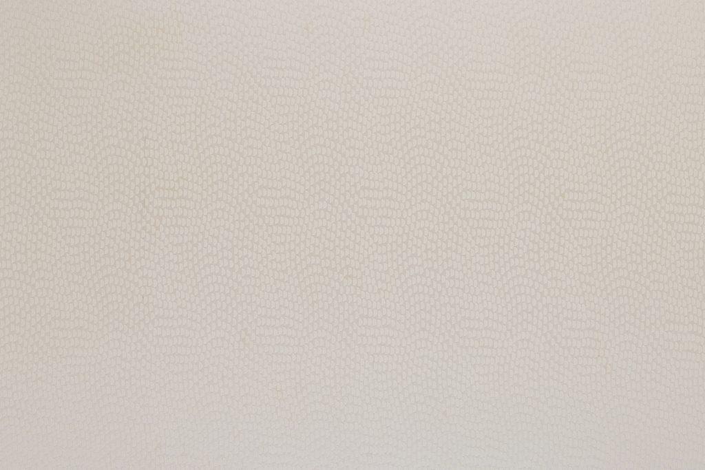 картинка Sudetes Champagne 