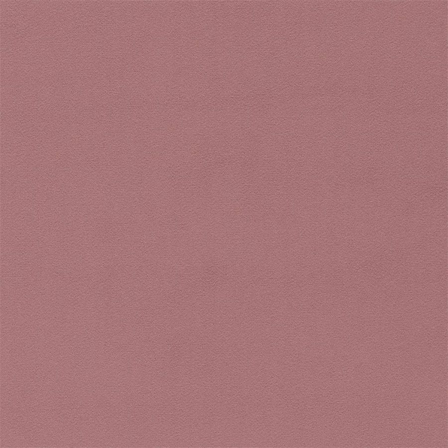 картинка Dorton 236999 