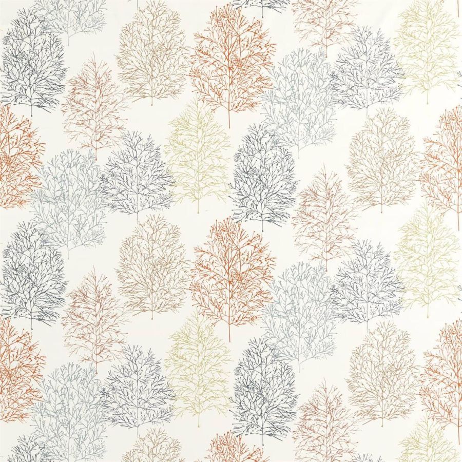 картинка Soetsu 120776 