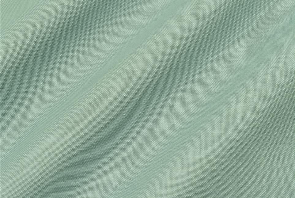 Ray