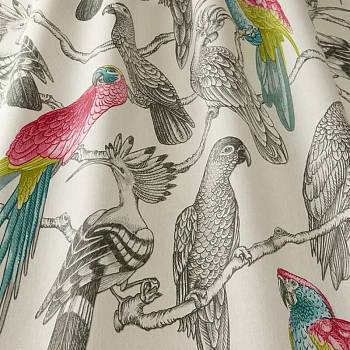 Maldives Aviary ткань Iliv, Принт от магазина Ткани Мира
