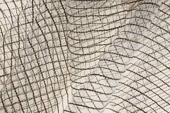 Segovia Velada ткань Daylight  Вуаль3 - Магазин Ткани Мира. Пошив. Доставка по России ✅ Segovia Velada ткань Daylight, Вуаль от магазина Ткани Мира