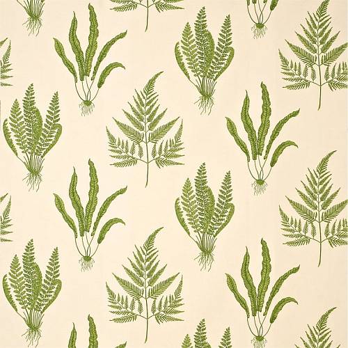 Woodland Ferns DAPGWO202 | Ткании Мира